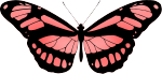Butterfly 15 (red)